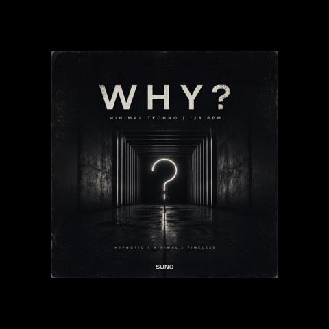 Cover for Why? (The 1st Edit)