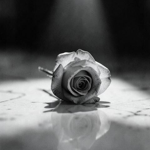 Cover for Only For You (TK Stable Edit)